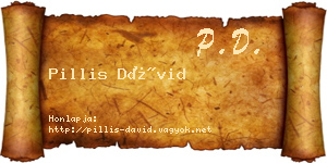 Pillis Dávid névjegykártya